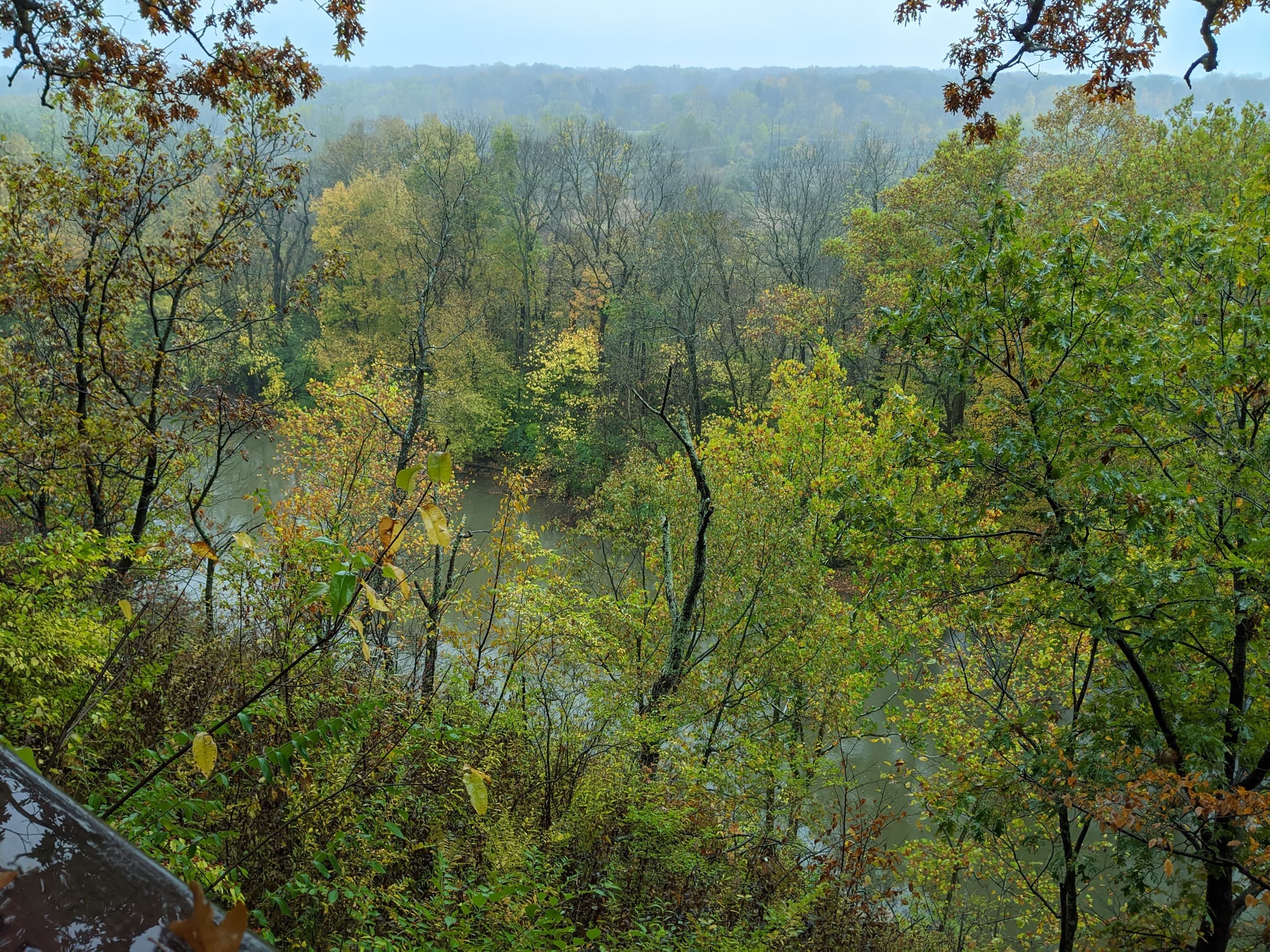View from the wooded bluff overlook at Highbanks Metro Park looking down over the Olentangy River