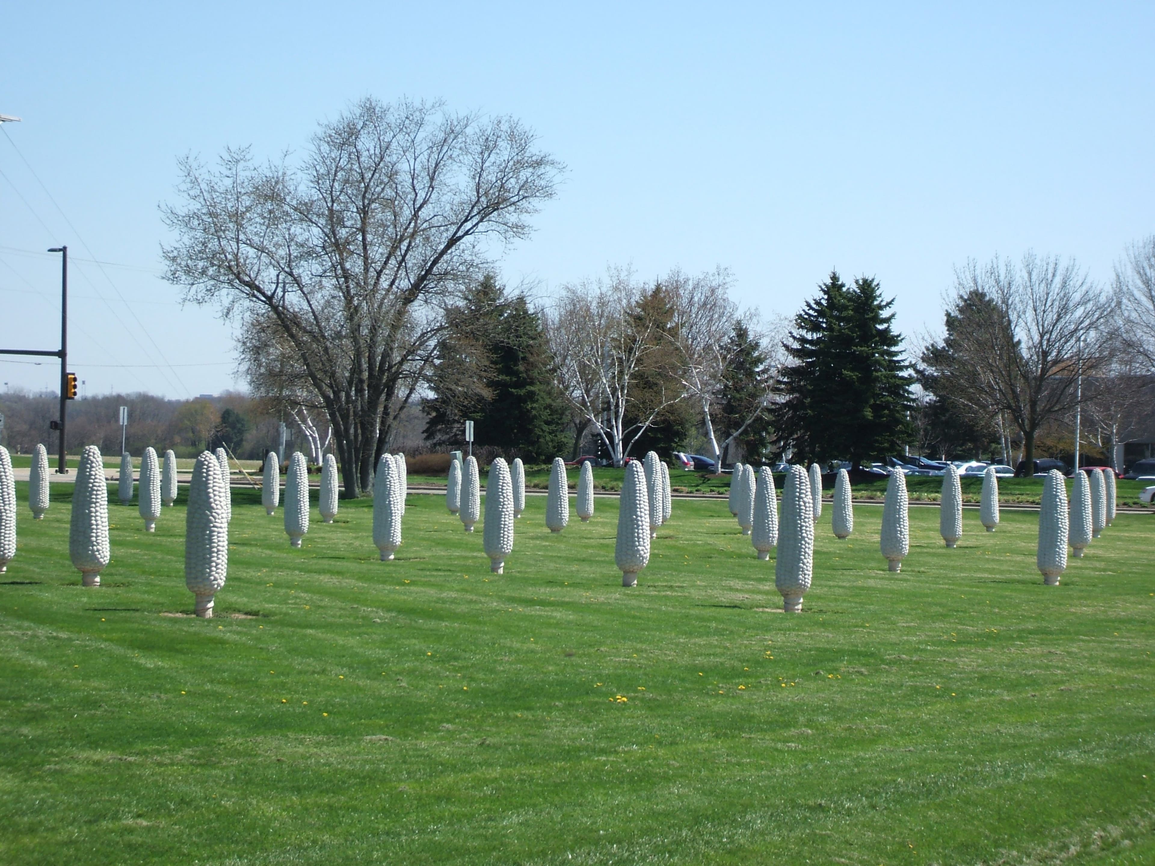 Rows of human-sized white concrete corn sculptures at the Field of Corn installation in Dublin, Ohio